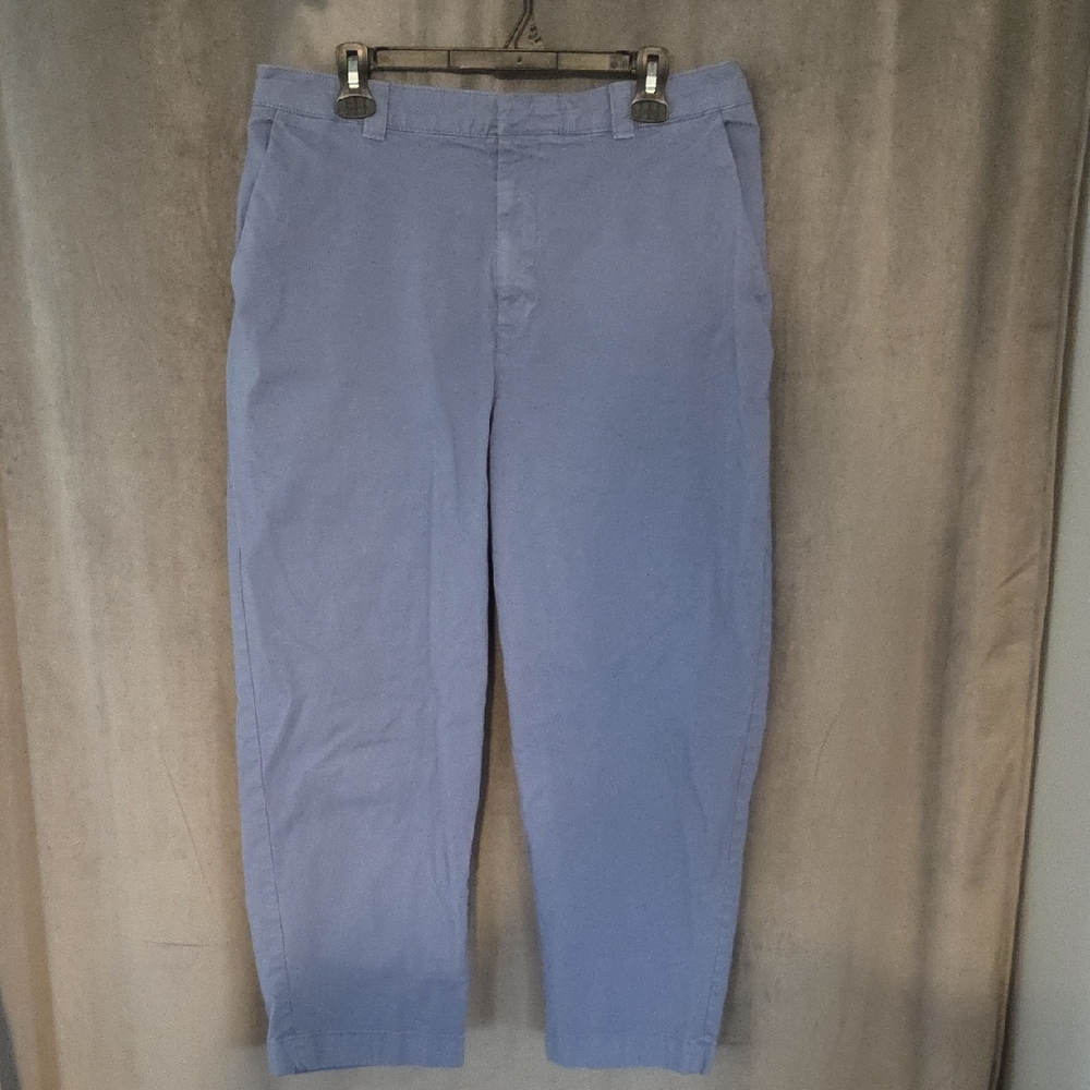 GAP Light Blue Cropped Pants